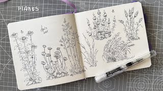 Sketching plants and flowers