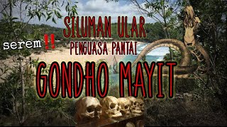 Download lagu Kisah Penguasa Ghaib pantai GONDO MAYIT ini jangan DiTIRU‼️ mp3
