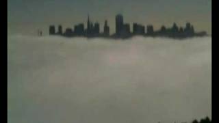 The Flashbulb  ///  Kirlian Shores