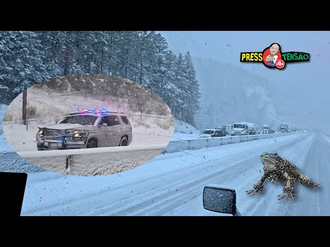 Everything's frozen... Not even a frog can climb up with a chain 🥶