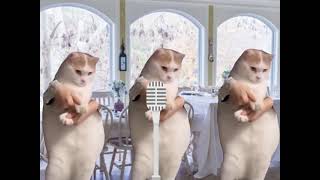 猫ミームでリックロール【#猫ミーム】