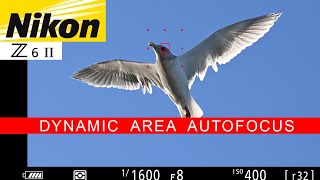 Nikon Z6II for Wildlife Photography | Dynamic Area Autofocus Review | Nikon 200-500