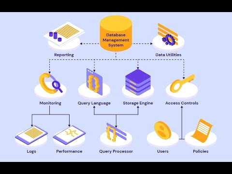 Database Management: Mastering the Art of Data Organization (39 Minutes)