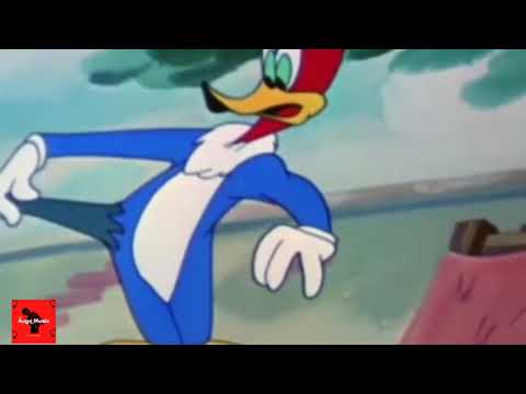 " ROLÊ DA DISGRAMA " PISEIRO DO BARÃO