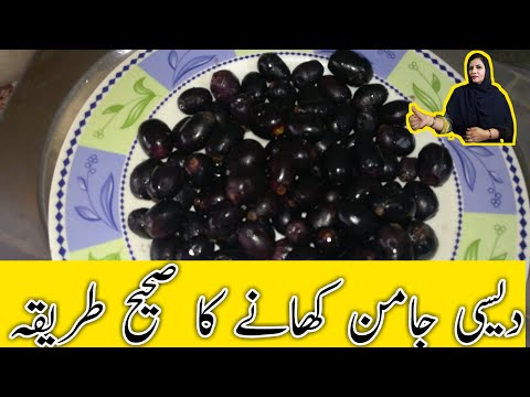 Robina Strong | Jamman Fruit | Desi Jaman | Purple Colour Fruit