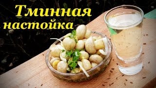 Настойка на тмине