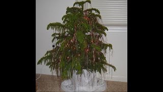 A Little Cheer - The Horrorist