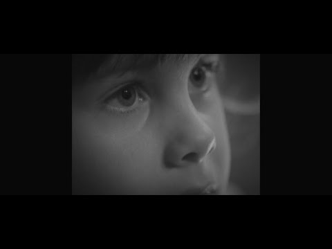 Rémi Geffroy - Rosa Alba