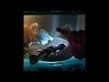 LONGONE - Alex Zhang Hungtai, Tseng Kuo Hung (Full Album), 2020