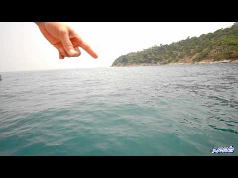 ที่เที่ยวลำพูน