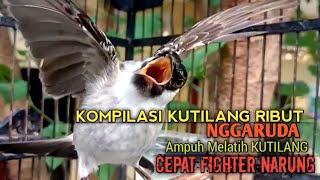 Download lagu SUARA burung Kutilang Gacor NGGARUDA TARUNG ampuh untuk pikat Kutilang gacor dan Masteran Kutilang mp3