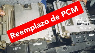 Como Reemplazar Computadora PCM de KIA RIO 2014