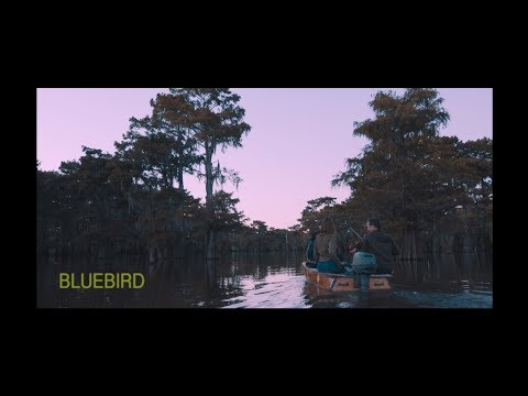 Bluebird - Langhorne Slim