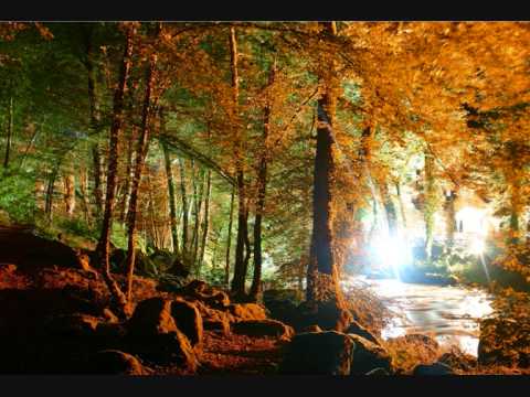 Will Miles - 1 Week Later