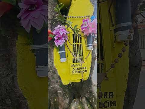 Inscreva-se! Gruta numa árvore. #minasgerais #saojoaodelrei