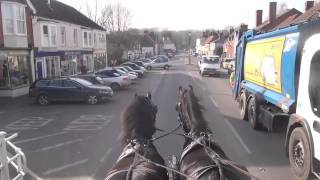 preview picture of video 'Driving horses on dustbin day!'