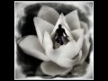 Deva Premal And Miten Strength Of A Rose 