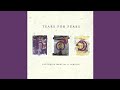 Tears For Fears - Lord Of Karma (Lyrics)
