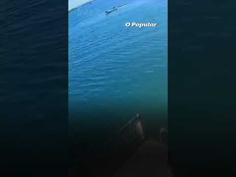Pai morre após cair de flutuante no Lago das Brisas; filho de 4 anos está desaparecido