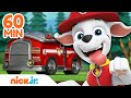PAW Patrol Marshall's Red Hot Fire Rescues! 🚒 w/ Chase & Skye | 60 Minute Compilation | Nick Jr.