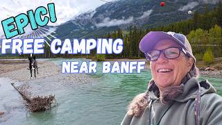 SADIE meets a BEAR!!! And a GORGEOUS Drive through the Candian Rockies
