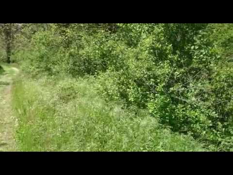 Camino de San Juan.  Valle de Tabladillo Segovia