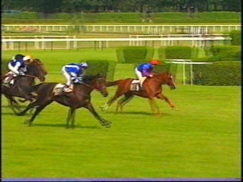 HARACIO - Auteuil 1996 - Prix Pharaon