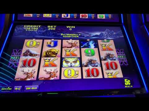 TIMBER WOLF BACK TO BACK BONUS