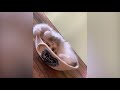 Look At That Face 😻  | Cute Cat Video 2019 | Kitten Video 2019