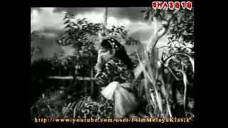 Download lagu Lanchang Kuning (1962 ) Full Movie mp3 Download lagu Lanchang Kuning (1962 ) Full Movie mp3