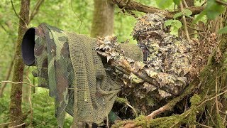 BIRD PHOTOGRAPHY in the forest | Wildlife photography behind the scenes - nikon z7, ftz, camouflage
