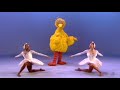 3 Birds