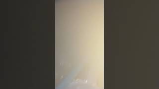 Download lagu curut jancok mp3 Download lagu curut jancok mp3