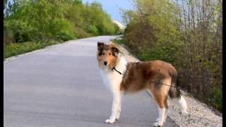 Sammy Breeze - The first 17 months