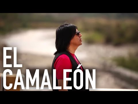 Widinson - El Camaleón