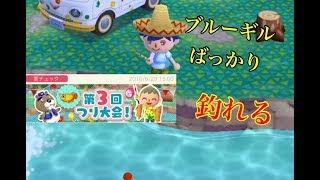 2018 釣り大会3回目何が釣れるかな…？ どうぶつの森 ポケットキャンプ