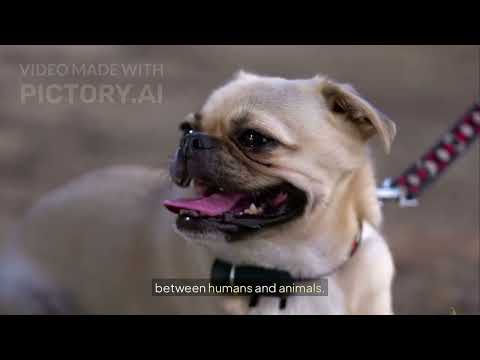 2025年11月26日 (ngày 26 tháng 11, 2025)