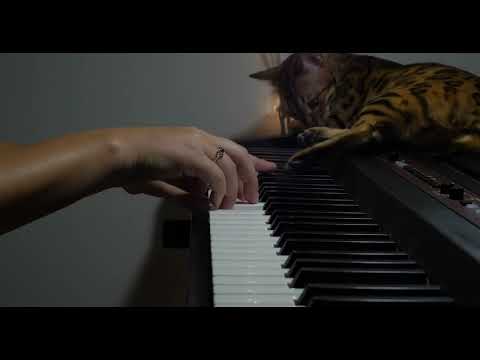 House Of The Dragon - An Impossible Choice (piano cover)