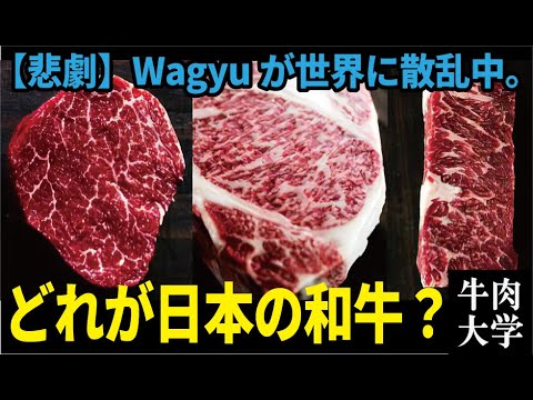 , title : '外国産「Wagyu」は何故広まった？海外のWagyu事情と日本和牛の違い'