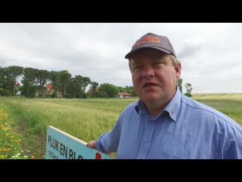 Pluk gratis blomster på Samsø