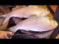 Very Tasty Expensive Big Hilsa Ilish Fish Cutting In Fish Market Fish Cutting Skills