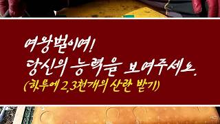 봄벌 산란받기, 여왕벌이여! 당신의 능력을 보여주세요. 하루 2,3천개의 알 받기