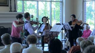Hands - Korine Fujiwara - Carpe Diem String Quartet [part 1 of 2]
