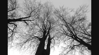 Wovenhand - Golden Rope (live in Deventer, 2004)