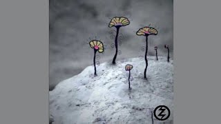 Zoé - Morning Watts (Instrumental)