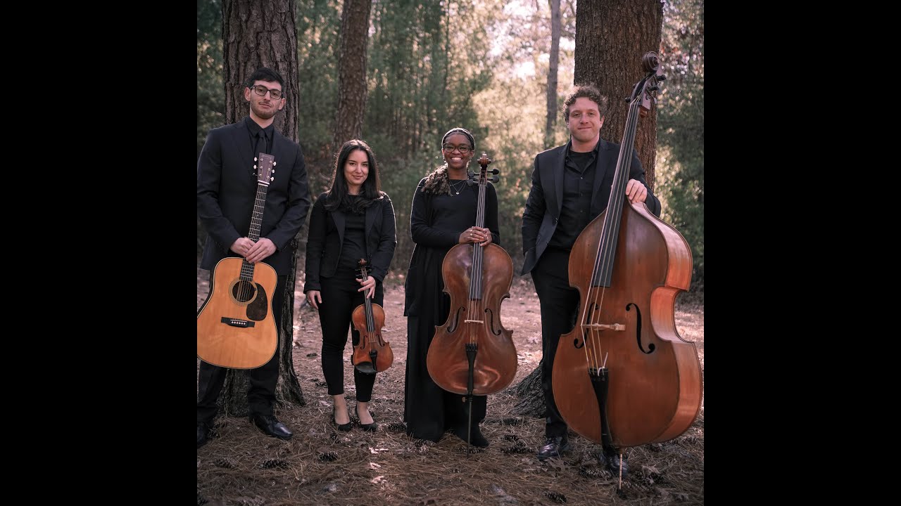 Promotional video thumbnail 15 for D'Amico Entertaintainment