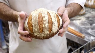 The science of sourdough bread thumbnail