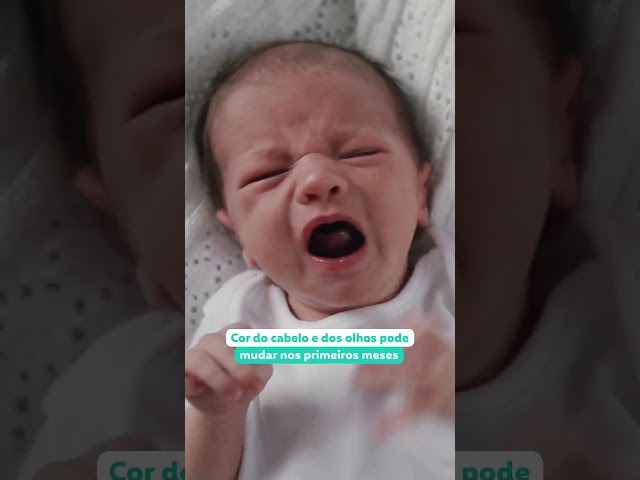 CURIOSIDADES SOBRE RECÉM NASCIDOS | Grão de Gente #gravidez #newborn #recemnascido #curiosidades