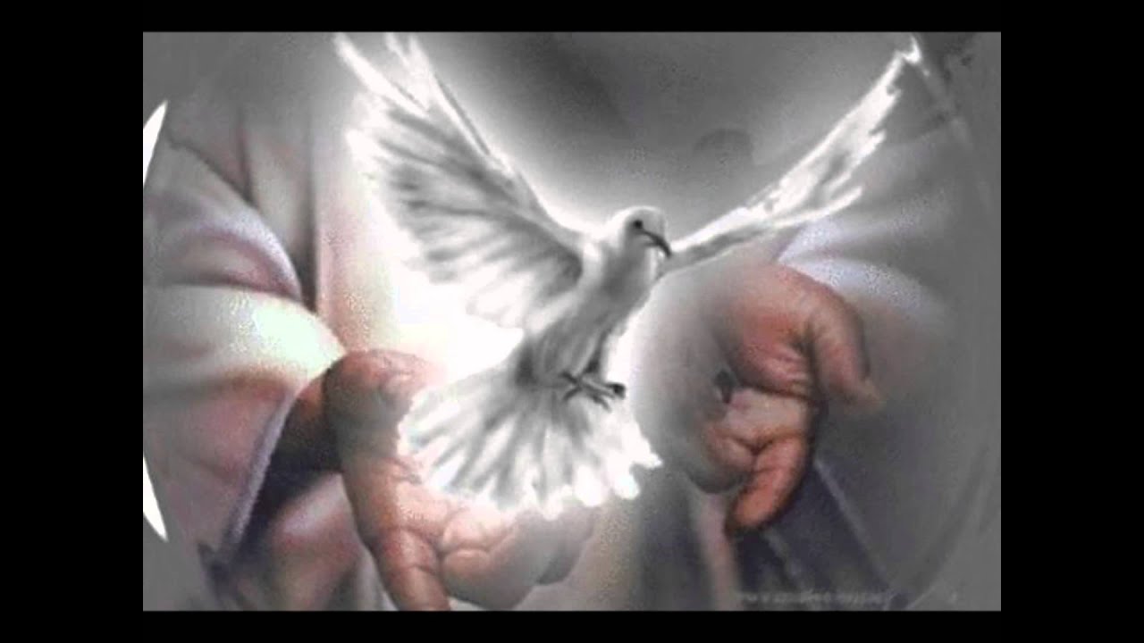 Feliz Cumpleaños Abuela Aunque Ya No Estas Te Amo!! II