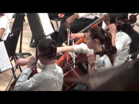 Avatar, by Doug Spata, Intermediate Orchestra, DPS Honors Strings Festival 2015